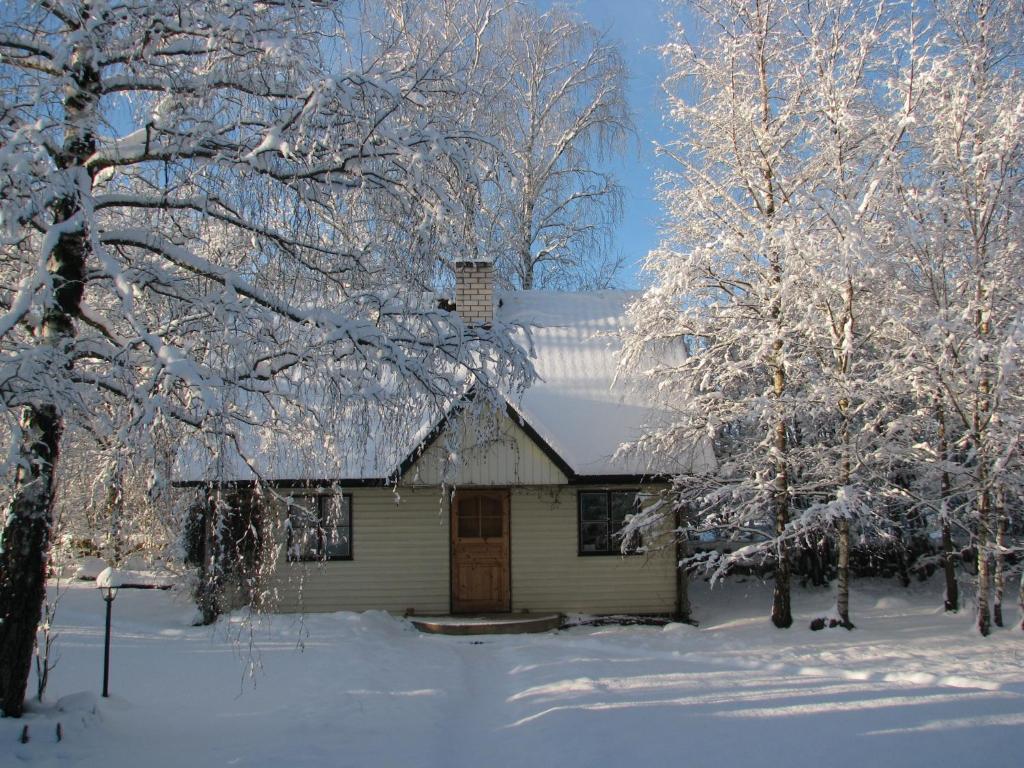 Tonise Holiday Houses Lilbi  Luaran gambar